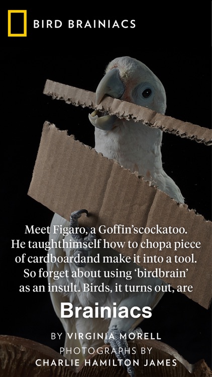 National Geographic Magazine screenshot-3