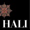 The world leader in its field, HALI (the name means carpet in Turkish) is an international quarterly magazine of exceptional style covering the world of carpets, textiles and Islamic art