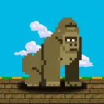 Skip Kong App Alternatives