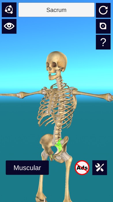 3D Anatomy + screenshot 2