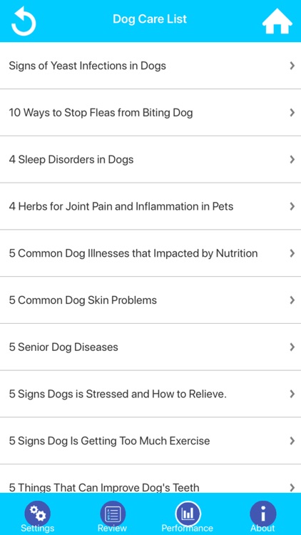 Veterinary Medicine Practice