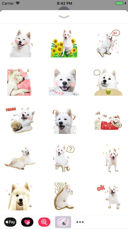 Shiba Dog Animations Stickers