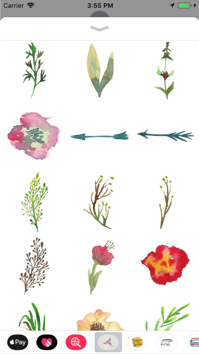Watercolor Animals and Florals