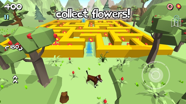 3D Maze 3 - Labyrinth Game screenshot-4