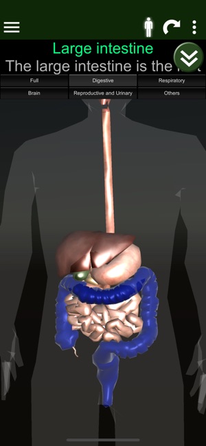 ORGANS 3D (ANATOMY)(圖2)-速報App