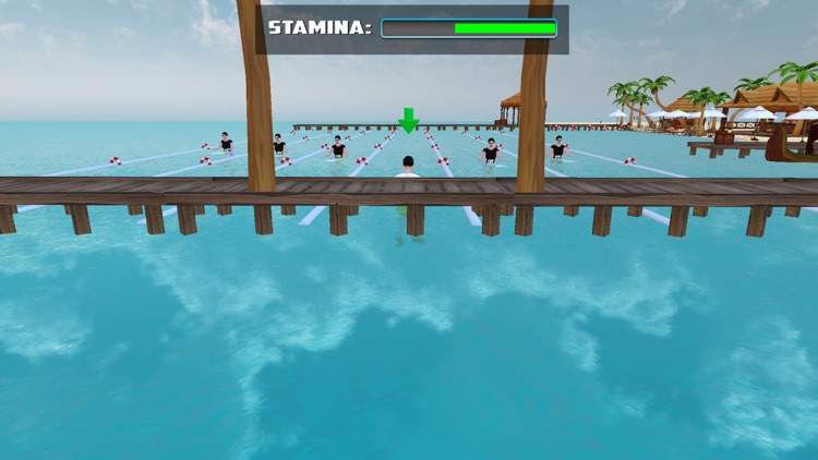 Beach Swimming Race screenshot-3