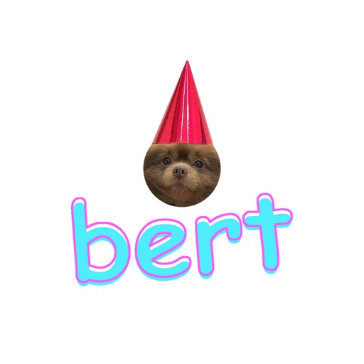Bert Stickers