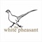 The White Pheasant