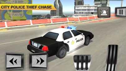 Crime Patrol Team Sim screenshot 3