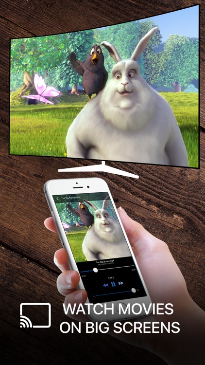 Chromecast TV Streamer