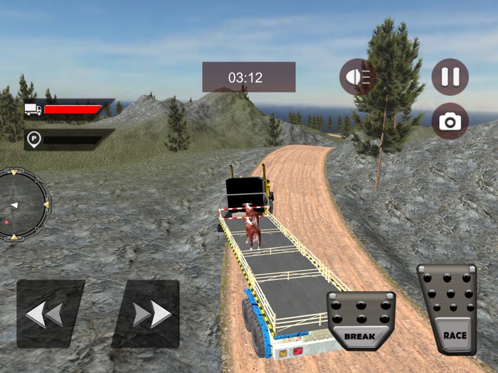 Animal Transporting Truck 2018