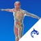 The Orca Health app is a powerful patient education tool