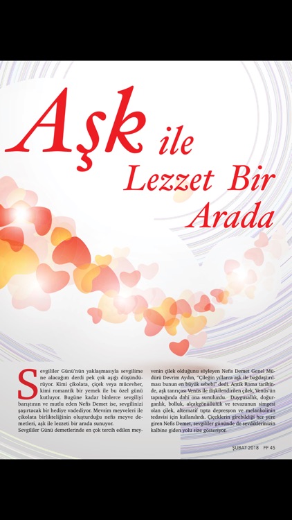 FEST & FASHION screenshot-4