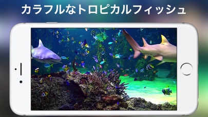アクアリウムHD + screenshot1