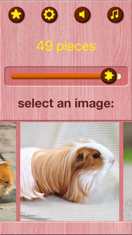 Guinea Pig Jigsaw Puzzle Games screenshot-4