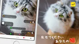 Game screenshot ねこライブ - 猫専用！写真,動画,ライブ配信アプリ mod apk