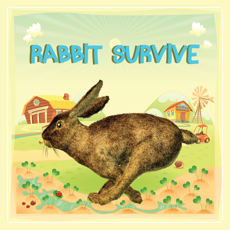 Activities of Rabbit Survive