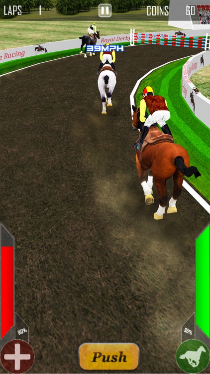 Royal Derby Horse Racing screenshot-4