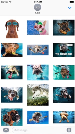 Dog Under Water Funny Sticker(圖2)-速報App