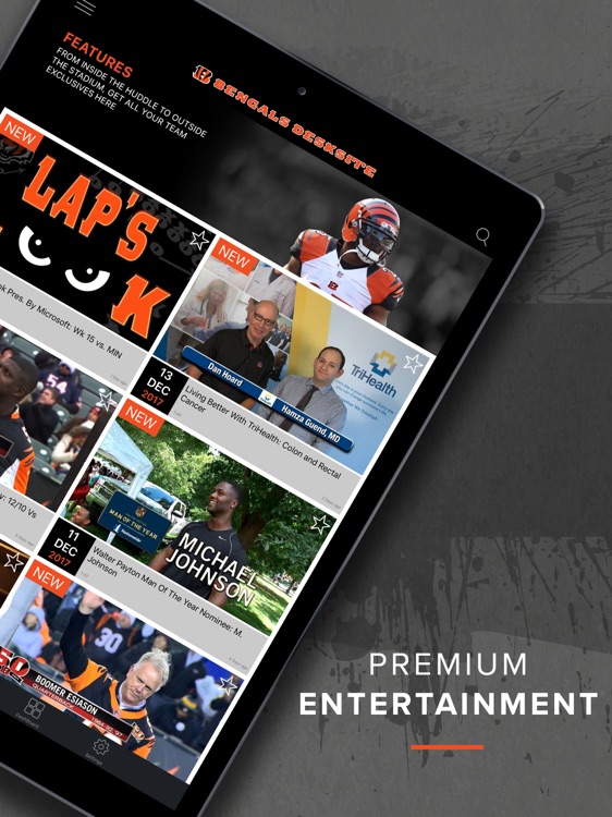 Bengals DeskSite screenshot-3