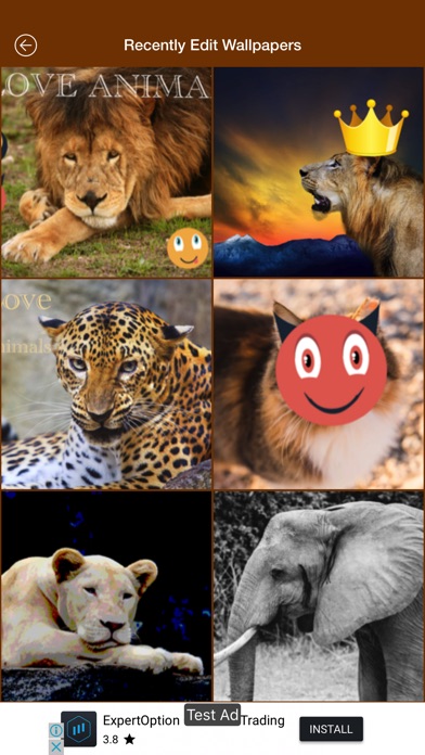 Wild Life Animals Wallpaper screenshot 3