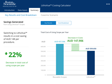 LithoVue™ Costing Calculator screenshot 3