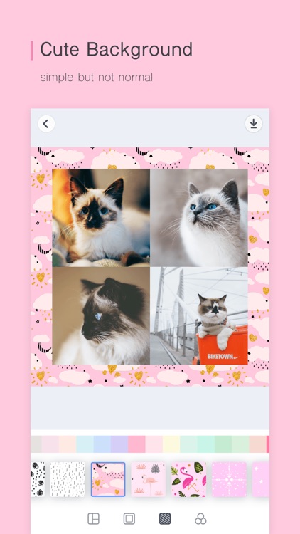 PINS-Artistic Effects Camera