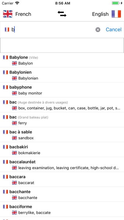 French-English Dictionary screenshot-4