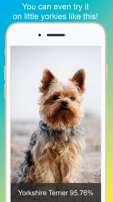 Dog Identify-Breed Identifier screenshot 4