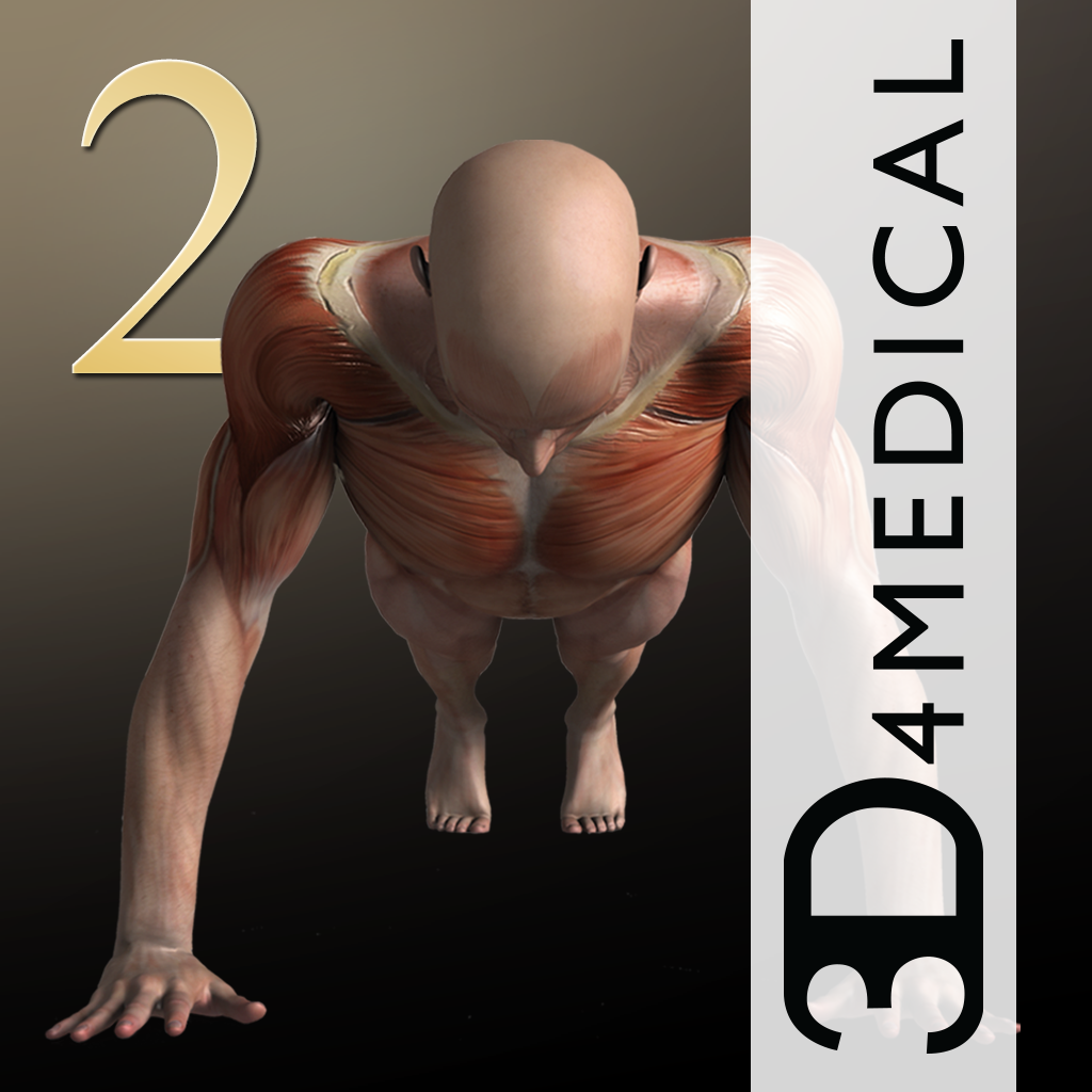 iMuscle 2 - iPhone Edition App Icon