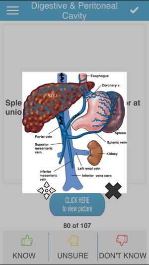 COMLEX Anatomy Cram Cards(圖3)-速報App