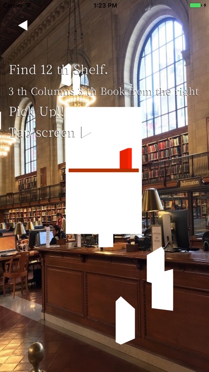 RandomShelf  photogenic SNS