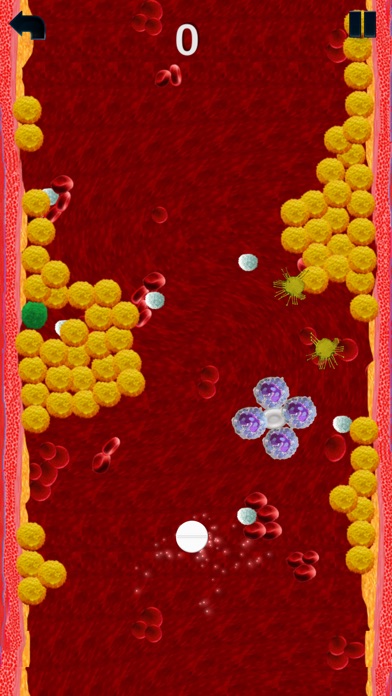 Lower Cholesterol screenshot 2