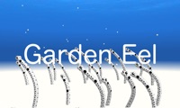 Garden Eel AR/VR