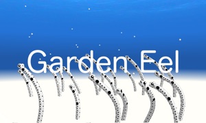Garden Eel AR/VR