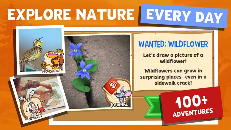 Nature Cat's Great Outdoors