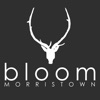 Bloom Morristown