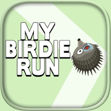 Activities of My Birdie Run