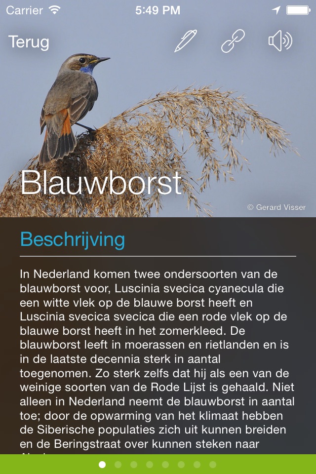 Vogels in Nederland screenshot 4