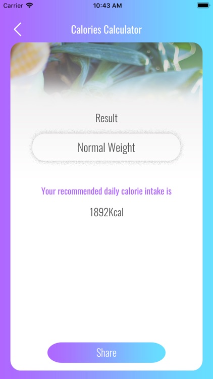 BMI & Calorie Calculator screenshot-4