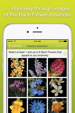 Bach Flower Self-test screenshot 2