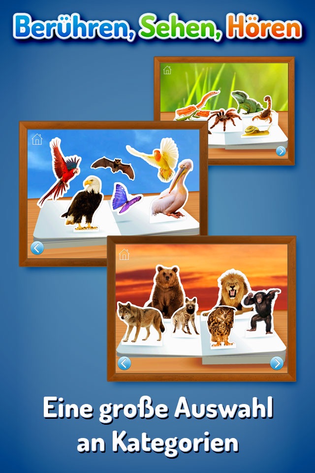 Zoo Animals ~ Touch, Look, Listen screenshot 4