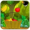 Get ready for Fruits Catch, the ultra fun and addictive game
