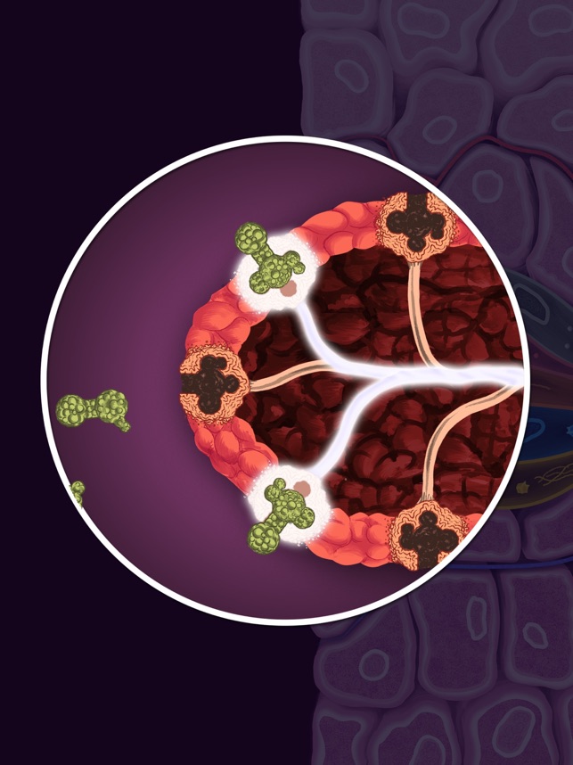 Taste & Smell Neuroscience(圖3)-速報App