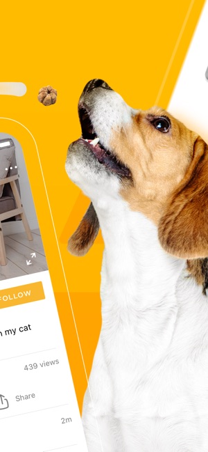 Pet Cube Mac App