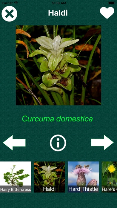Plant Book Reference screenshot 2