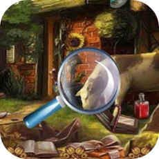 Activities of Village Find Things New