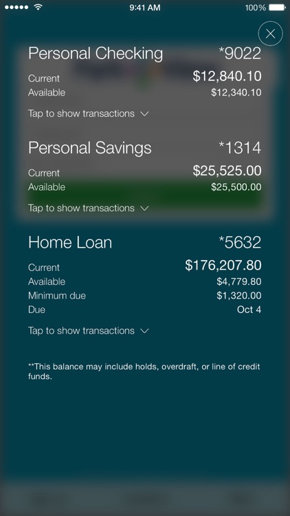 MoneyView by Park View FCU screenshot-3