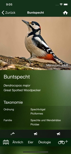Alle Vögel Deutschland(圖2)-速報App