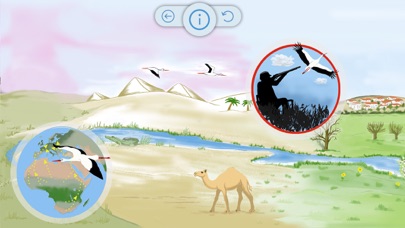 Migration of birds screenshot 2